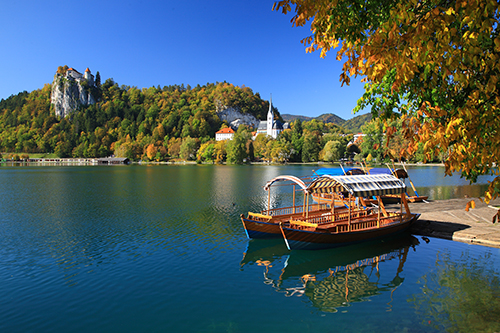 Turistična zveza Slovenije, Slovenian tourist board